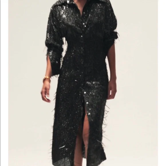 Zara Dresses Zara Sequin Midi Shirt Dress Poshmark